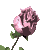 flower open :flower open: